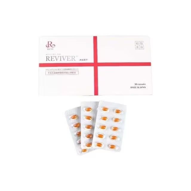 SUPPLEMENT ｜REVISHOP 北新地